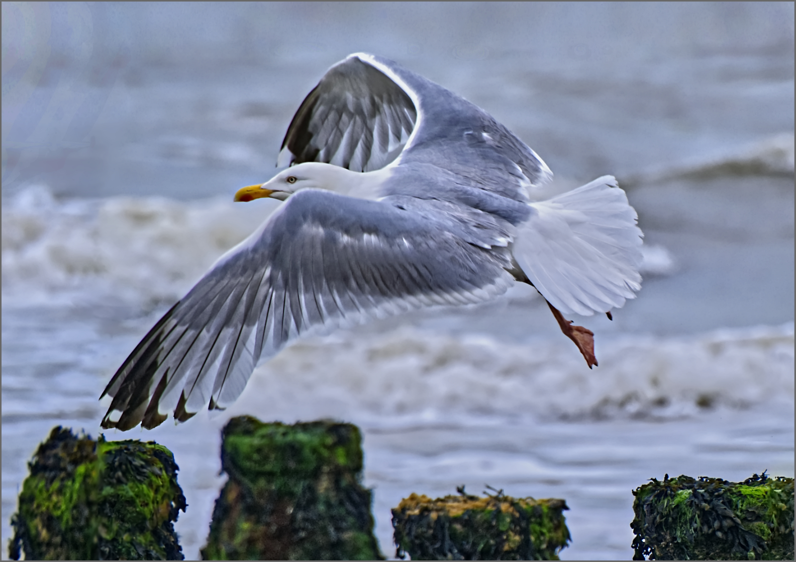 Cleared for take-off - Harvey Perkins